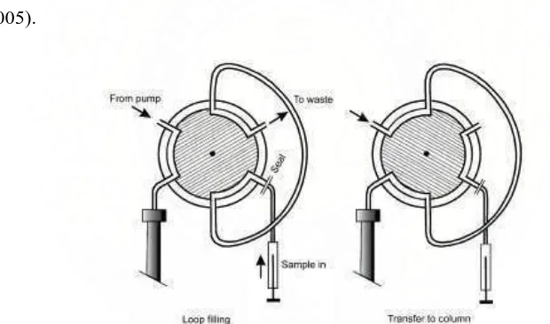 Gambar 9. Tipe injektor sampling valve. (sumber: Meyer, V.R. 2004. Practical High-Performance Liquid Chromatography, 4th Edition