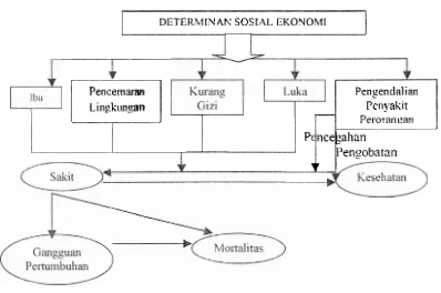 Gambar 2 Determinan Sosial Ekonomi dan Mortalitas 