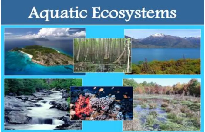 Gambar 3. Ekosistem Perairan 