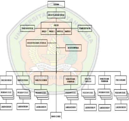 Gambar 3.1 Struktur Organisasi Universitas Bhayangkara Jakarta Raya