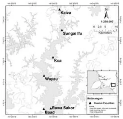 Gambar 1.Lokasi penelitian di Sungai Kumbe, Merauke.Figure 1.Site research in Kumbe River, Merauke.