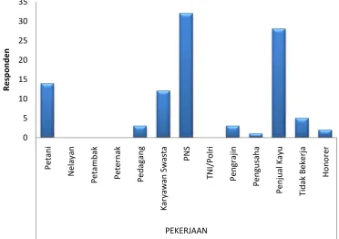 Gambar 12.  Mata Pencarian Responden 