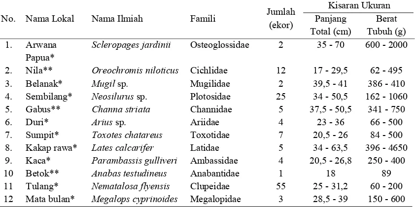 Tabel 1. Jenis-jenis ikan yang tertangkap di Rawa Kaiza Sungai Kumbe
