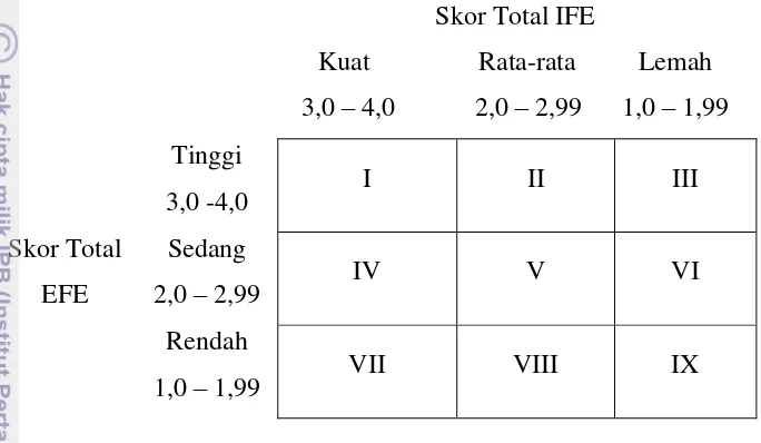 Gambar 3 Model matriks IE 