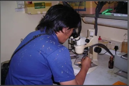 Gambar 9. Deskripsi Cutting dengan Mikroskop binokular 