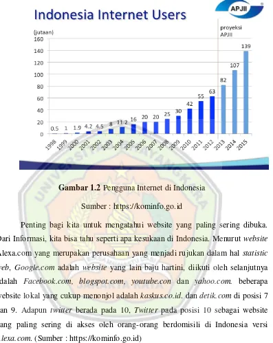 Gambar 1.2 Grafik User Internet 