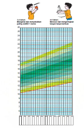 Gambar 2.1 Grafik pertumbuhan dan perkembangan anak (Sumber: Buku Kesehatan Ibu dan Anak Departemen Kesehatan Republik 