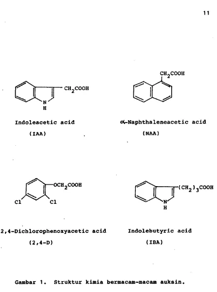 Gambar 1• Struktur kimia bermacam-macam auksin