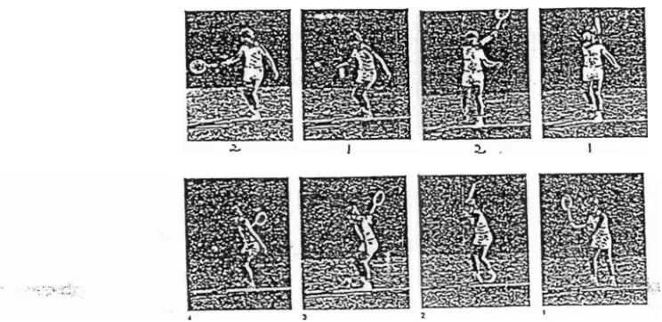 Gambar 2. Swing Dalam Olahraga Tenis (Deutchers tennis Bund, 1985) 