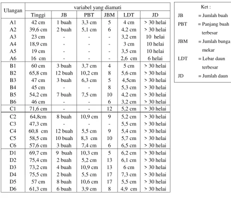 Tabel 1. Hasil pengukuran terakhir 22 juli 2015 