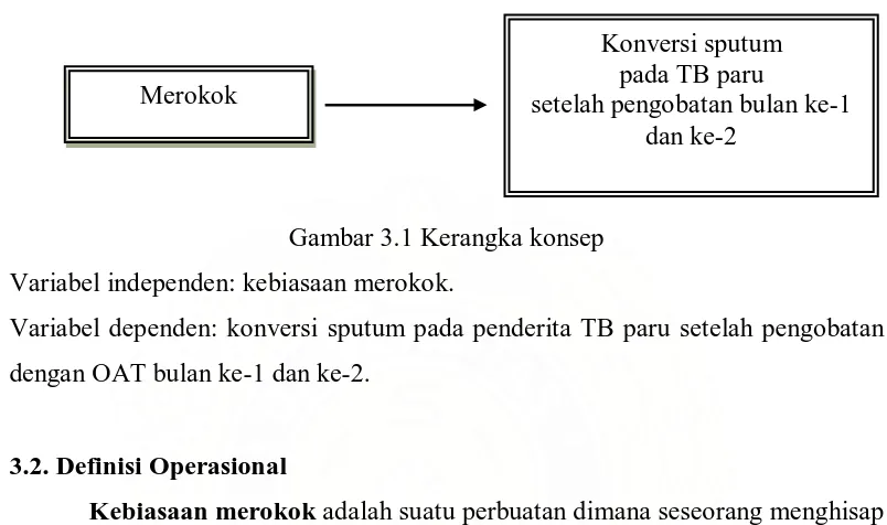 Gambar 3.1 Kerangka konsep 