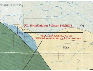 Gambar 2.1 Peta Geologi Regional Wilayah IUP PT.BST 