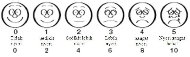 Gambar 2.1 Skala wajah