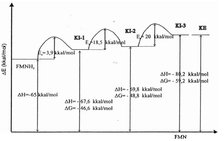 Gambar 111.3. Diagram energi reaksi bioluminisensi LBPP (Ratnawulan, dkk, 2006a). 