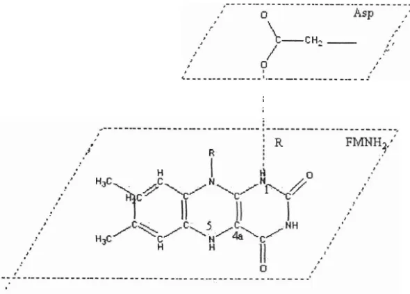 Gambar 4.5 Jarak tegak lurus antara dua molekul R 