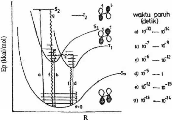 Gambar 1.4 Diagram Jablonski untuk molekul (Yarnada, 1982). 