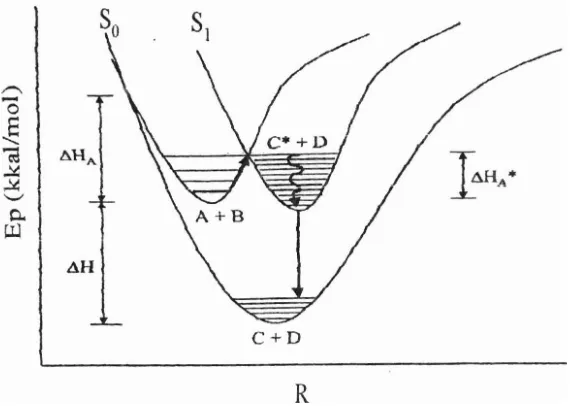 Gambar 1.5 Proses energi pada reaksi kemiluciferase / bioluciferase untuk reaksi : A + B + C* + D + C + h v(0rchin dan Jaffe, 1980)