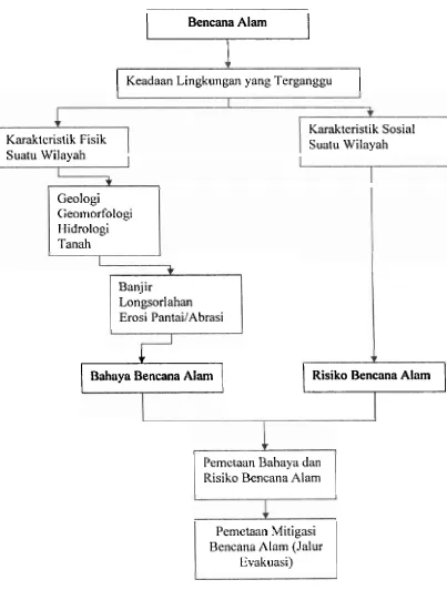 Gambar 2.1. Flowchar Bahaya dan Risiko Bencana Alam 