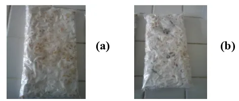 Gambar 2. (a) Produk tempe kacang kedelai (Glycine max)(b) Produk tempe kacang tanah (Arachis hypogea)