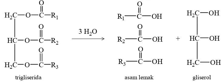 Gambar 5.1. Reaksi hidrolisis trigliserida (Budimarwanti).