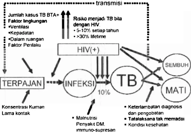 Gambar. 1 Faktor Resiko Kejadian TB (Tim Gerdunas TB, 2007). 