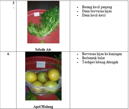 Tabel 1.8 Ukuran sayur