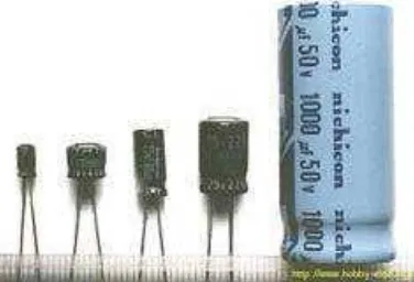 Gambar 2.6  Electrolytic Capacitor (ELCO) 