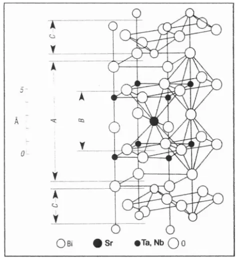 Gambar 2.1. Sruktur kristal SrBi2Ta2@ atau SBT (Scholar, 1999) 
