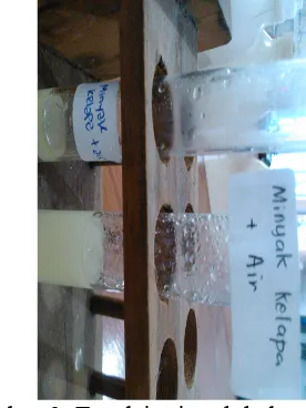 Gambar 3. Emulsi minyak kelapa dan air