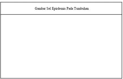 Tabel Pengamatan Sel Epirdemis Pada Tumbuhan