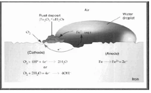 Gambar 2. Mekanisme korosi pada logarn besi (Sommers, 2006) 