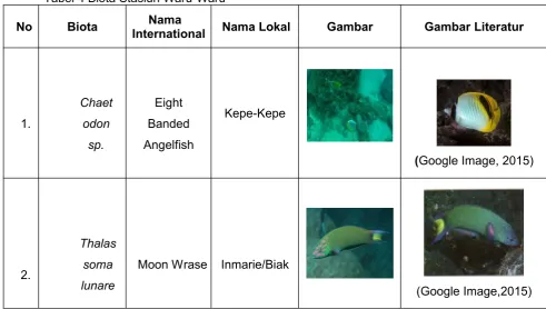 Tabel 4 Biota Stasiun Waru-Waru