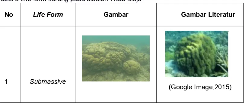 Tabel 5 Life form karang pada stasiun Watu Meja