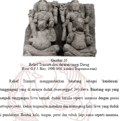 Gambar 10 Relief Trimurti dari dataran tinggi Dieng 