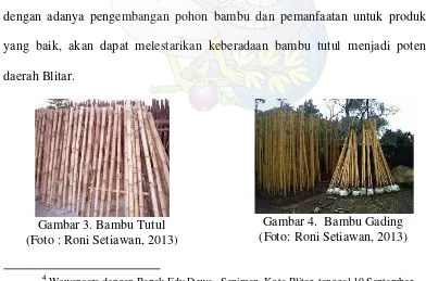Gambar 4.  Bambu Gading 