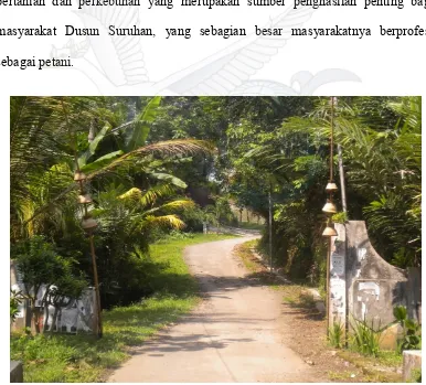 Gambar 1. Gerbang Masuk Dusun Suruhan                                                             (Foto : Diva Cherly, 2013) 