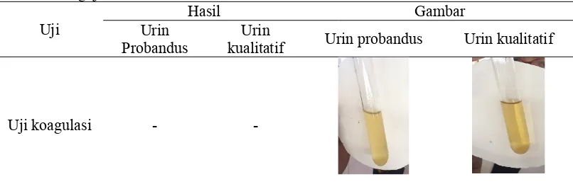 Tabel 2 Pengujian kualitatif urin