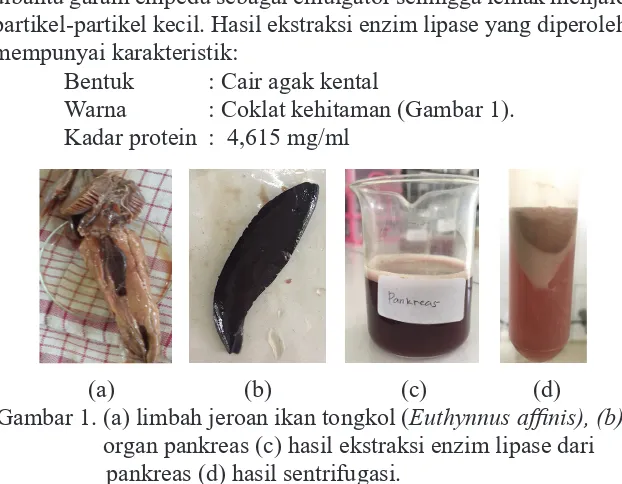 Gambar 1. (a) limbah jeroan ikan tongkol (Euthynnus affinis), (b) 
