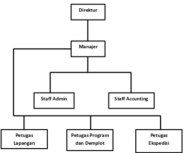 Gambar 2.1 Struktur Organisasi PT Alam Raya 
