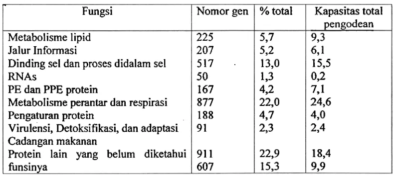 Tabel 3.1 Klasifikasi umum gen M. tuberculosis(Smith, 2003). 