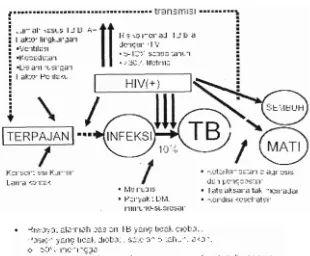 Gambar 3.1 Faktor resiko kejadian TB (Tim Gerdunas TB, 2007). 