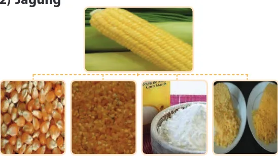 Gambar 4.41. Pengolahan jagung menjadi bahan setengah jadi yaitu jagung pipil kering, beras jagung, tepung jagung/maizena, dan jagung instan 