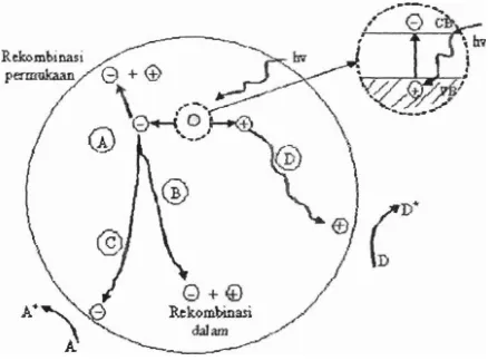 Gambar 2.2. Skema proses fotoeksitasi darz deeksitasi (Linsebigler, et id, 2995) 