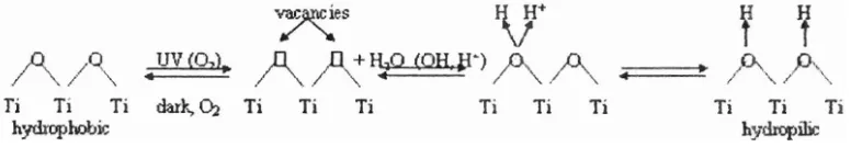 Gambar 2.5 Fenomena hidrofilik pada fotokatalis TiOz (Benedix, R., et. al., 2000) 