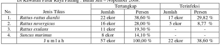 Tabel 1.  Persentase Jenis Tikus yang Tertangkap di Kawasan Pasar Raya Padang    