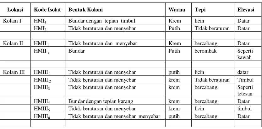 tabel 4.  