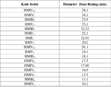 Tabel 4. Diameter  Zona Bening  Bakteri Termofilik Penghasil Amilase 