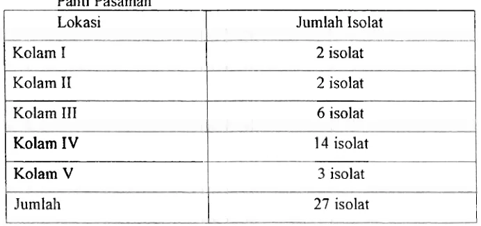 Tabel 2. Jutnlah Isolat Bakteri Terlnofilik pada Sumber Air Panas Rimbo 