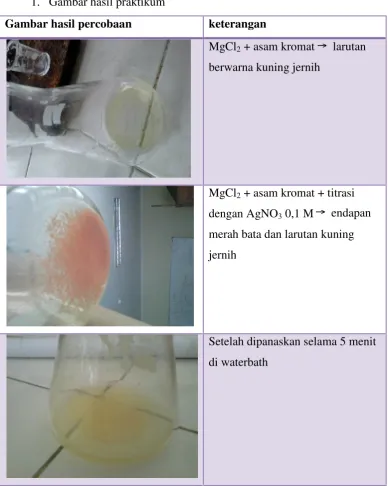 Gambar hasil percobaan