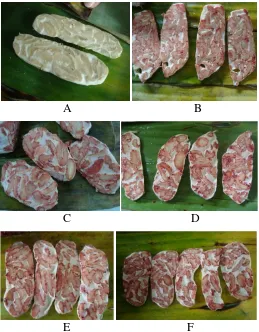 Gambar Tempe Potong Melintang dengan Variasi Penambahan Angkak 